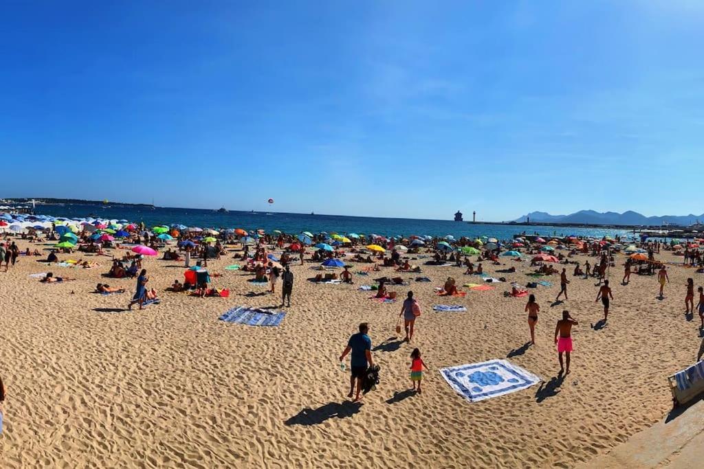 Centre Proche Croisette Palais Des Festivals Cannes